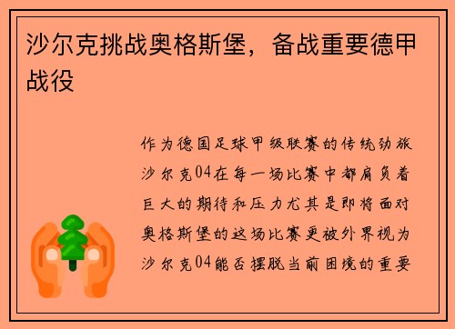 沙尔克挑战奥格斯堡，备战重要德甲战役