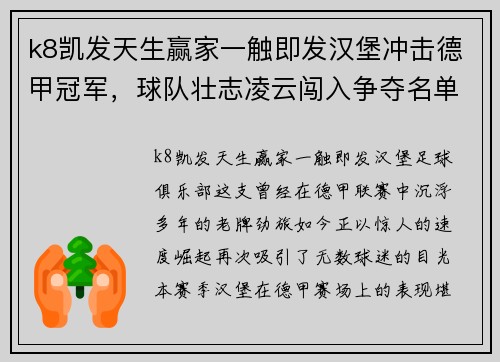 k8凯发天生赢家一触即发汉堡冲击德甲冠军，球队壮志凌云闯入争夺名单 - 副本
